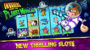 winbet casino